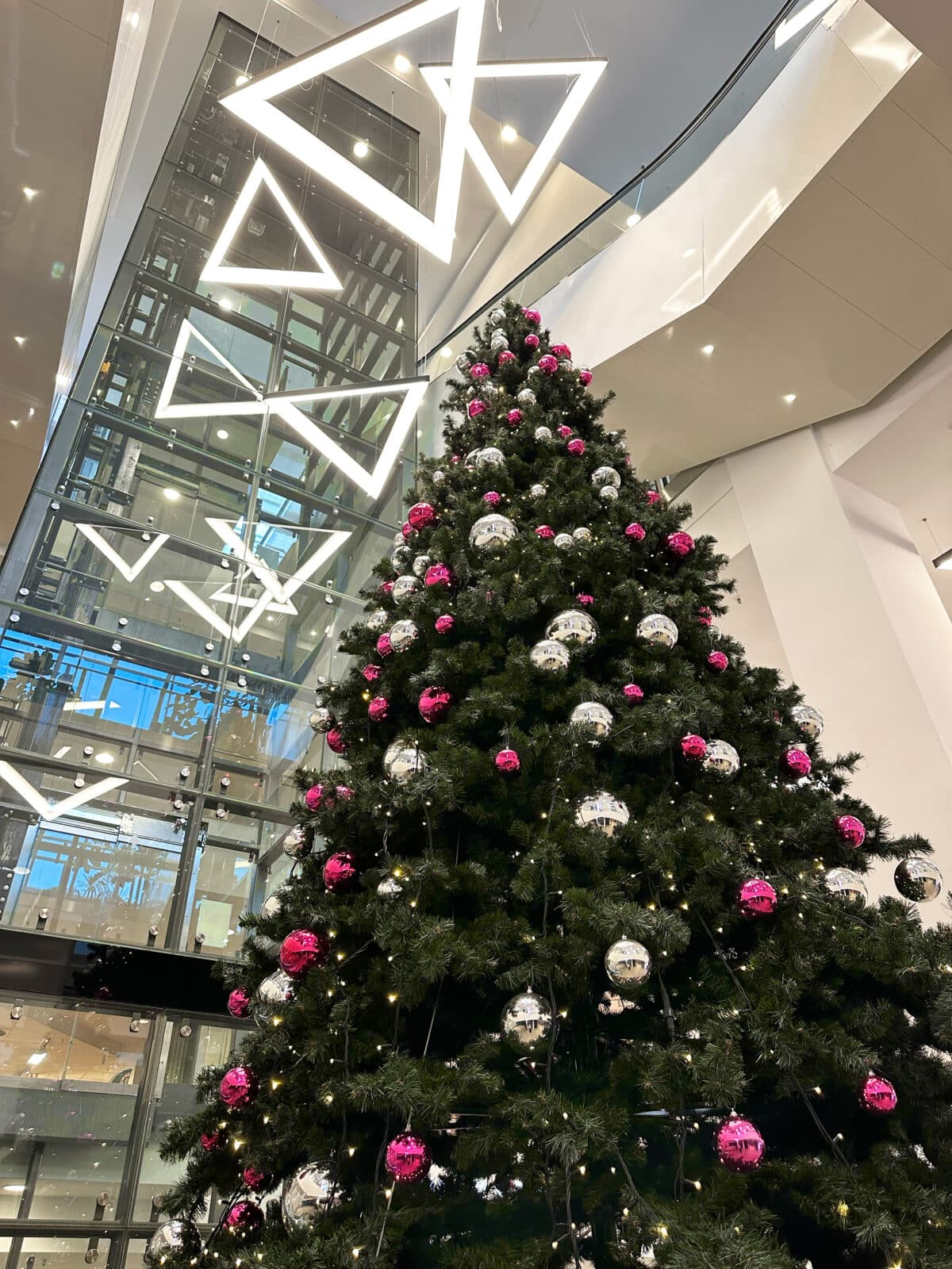 caro Adventsaktion Weihnachtsbaum Archiv2024